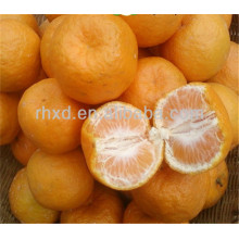 2017 nova safra de exportação de laranjas da China